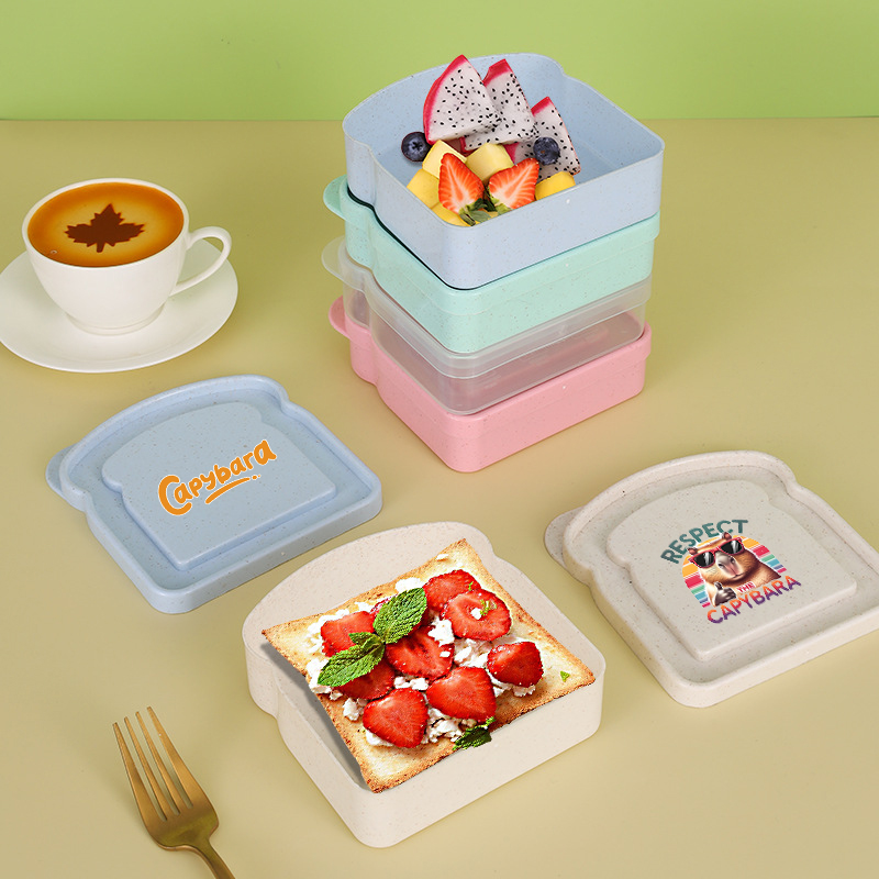 Capybara Sandwich Food Storage - Food Storage With Dividers recension och pris